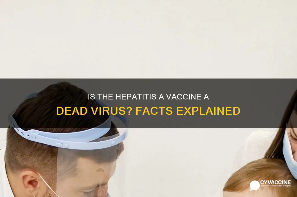 is the hepatitis a vaccine a dead virus
