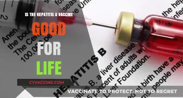 Hepatitis A Vaccine: Lifetime Immunity or Booster Needed?