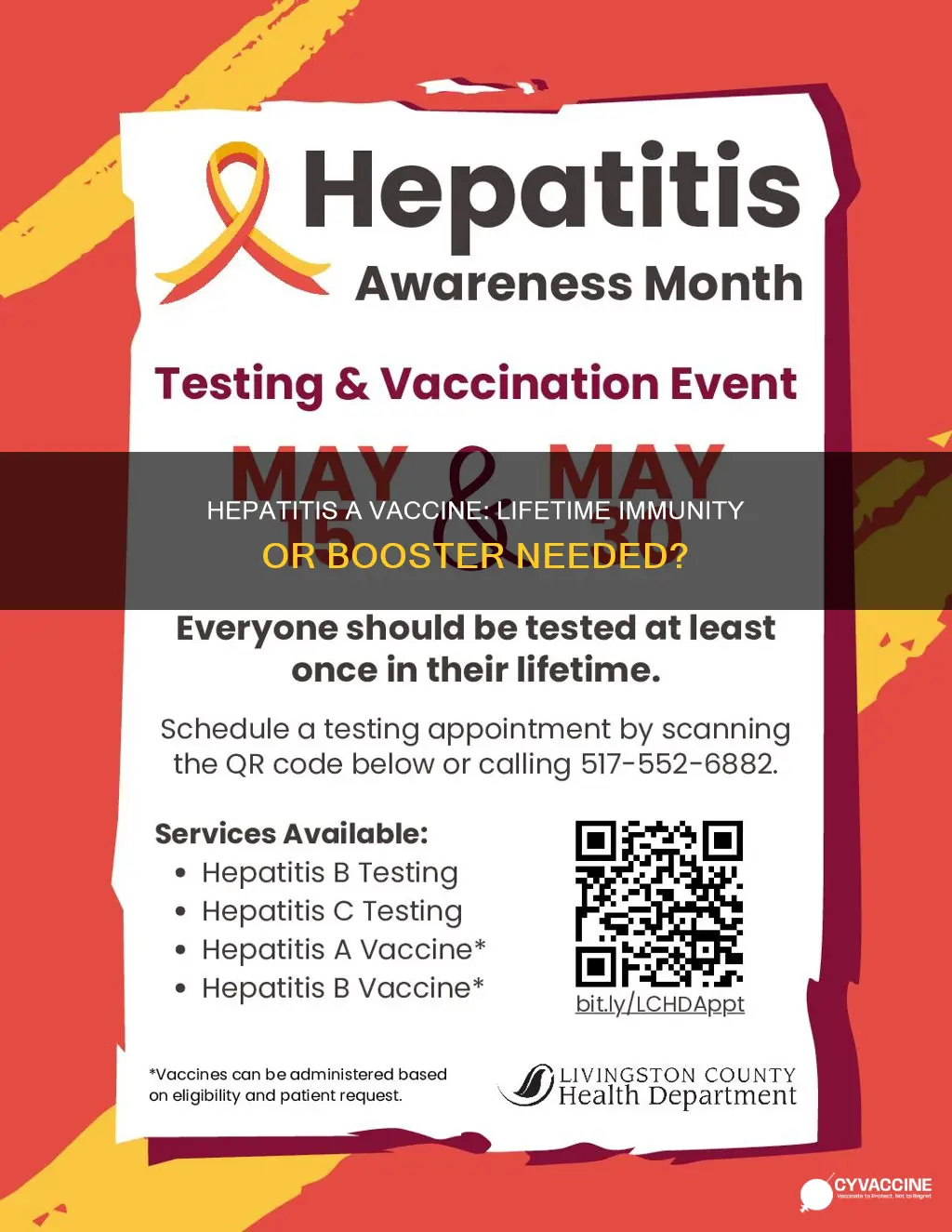 is the hepatitis a vaccine good for life