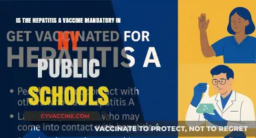 Hepatitis A Vaccine: Is It Mandatory in NY Public Schools?