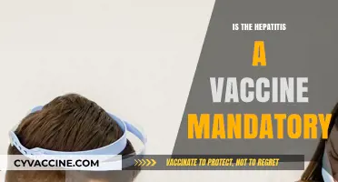 Exploring Hepatitis A Vaccine Mandates: What You Need to Know