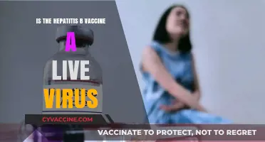 Is the Hepatitis B Vaccine a Live Virus? Facts Explained
