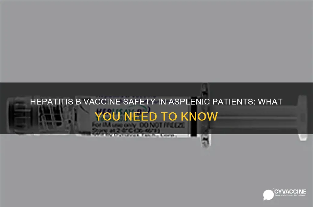 is the hepatitis b vaccine contraindicated in asplenic patients