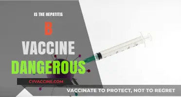 Exploring the Safety of the Hepatitis B Vaccine: Facts and Myths