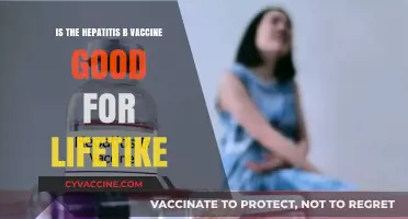 Hepatitis B Vaccine: Lifelong Protection or Periodic Booster Needed?