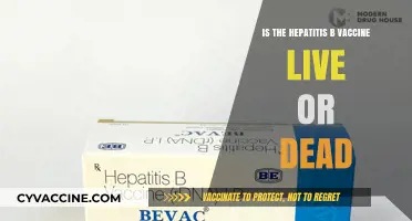 Hepatitis B Vaccine: Live or Dead? Understanding Its Composition