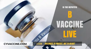 Is the Hepatitis B Vaccine Live? Debunking Myths and Facts