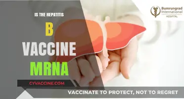 Exploring the Science: Is the Hepatitis B Vaccine mRNA-Based?