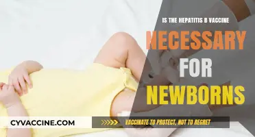 Hepatitis B Vaccine for Newborns: Essential Protection or Optional Choice?