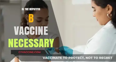 Is the Hepatitis B Vaccine Essential for Your Health?
