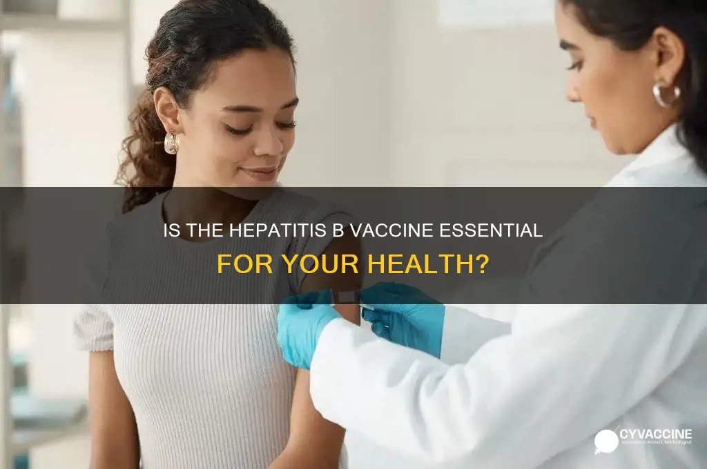 is the hepatitis b vaccine necessary