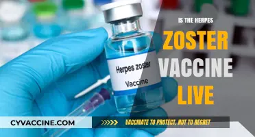 Debunking Myths: The Truth About the Herpes Zoster Vaccine