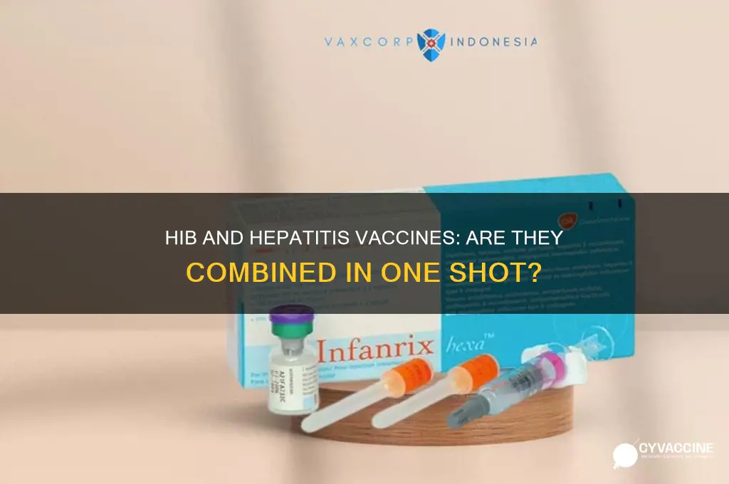 is the hib vaccine combined with hepatitis vaccine
