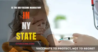 Is the Hib Vaccine Mandatory in NY State? What Parents Need to Know