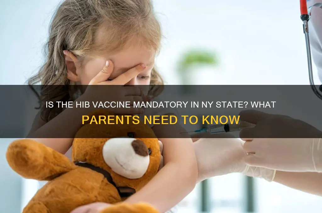 is the hib vaccine mandatory in ny state