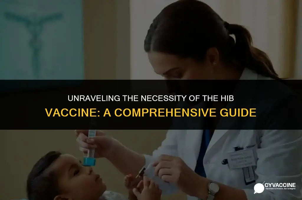 is the hib vaccine really necessary