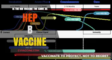 Hib vs. Hep B Vaccine: Understanding the Key Differences