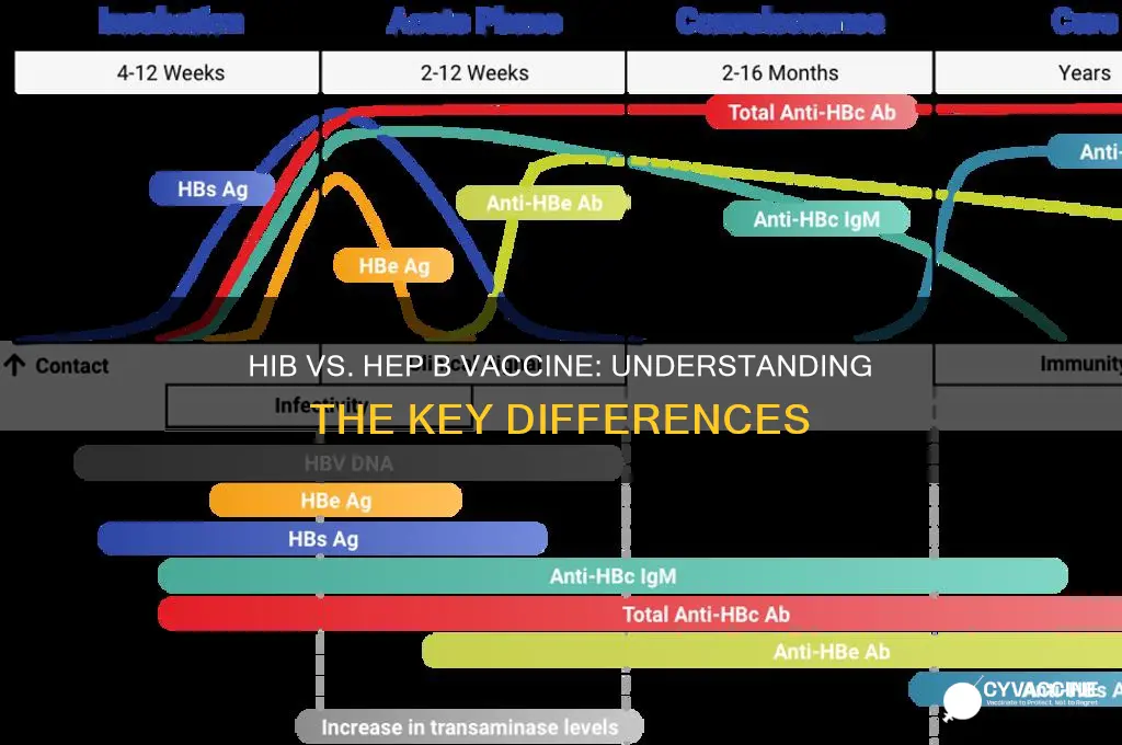 is the hib vaccine the same as hep b vaccine