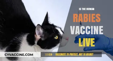 Unveiling the Truth: Is the Human Rabies Vaccine Live?