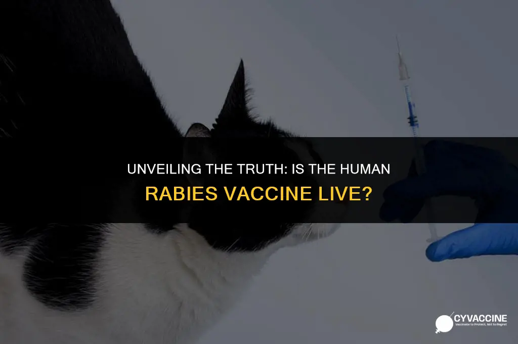 is the human rabies vaccine live