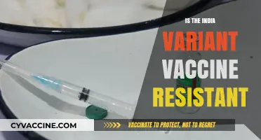Exploring the Efficacy: Is the India Variant Vaccine Resistant?