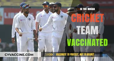 Cricket and Vaccines: The Indian Team's Health Status Update
