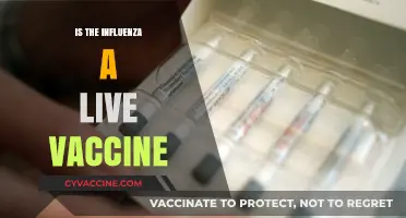 Understanding Influenza Vaccines: Live vs. Inactivated Options