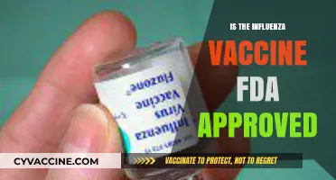 Understanding the FDA Approval Process for Influenza Vaccines