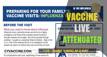Understanding the Influenza Vaccine: Live Attenuated or Not?