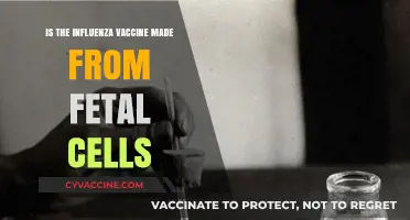 Is the Influenza Vaccine Made from Fetal Cells? Facts Explained