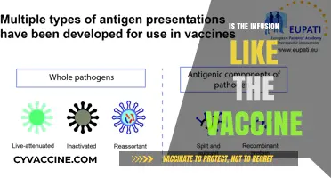 Exploring the Differences: Infusion vs. Vaccine