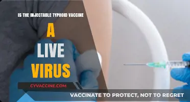 Injectable Typhoid Vaccine: Live Virus or Not? What You Need to Know