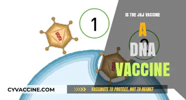 Is J&J's COVID-19 Vaccine a DNA-Based Shot? Explained