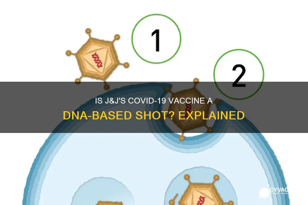 is the j&j vaccine a dna vaccine