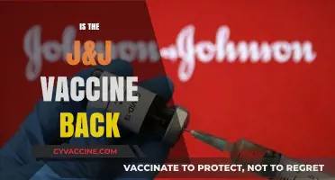 J&J Vaccine Returns: What You Need to Know Now
