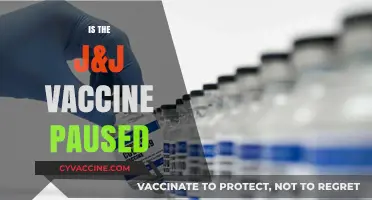 J&J Vaccine Pause: What You Need to Know Now