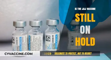 J&J Vaccine Status: Is It Still on Hold in 2023?