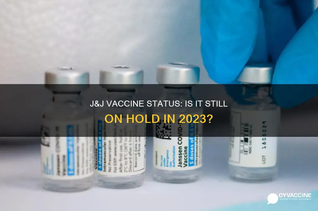 is the j&j vaccine still on hold