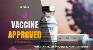 J&J Vaccine Approval Status: What You Need to Know