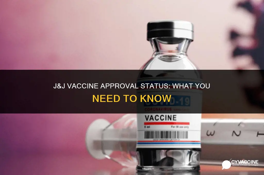is the j & j vaccine approved