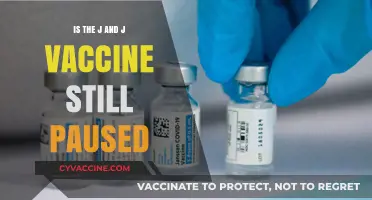 J&J Vaccine Pause: Current Status and What You Need to Know