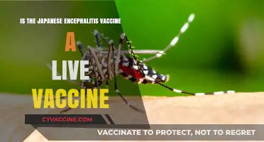 Is the Japanese Encephalitis Vaccine a Live Vaccine?