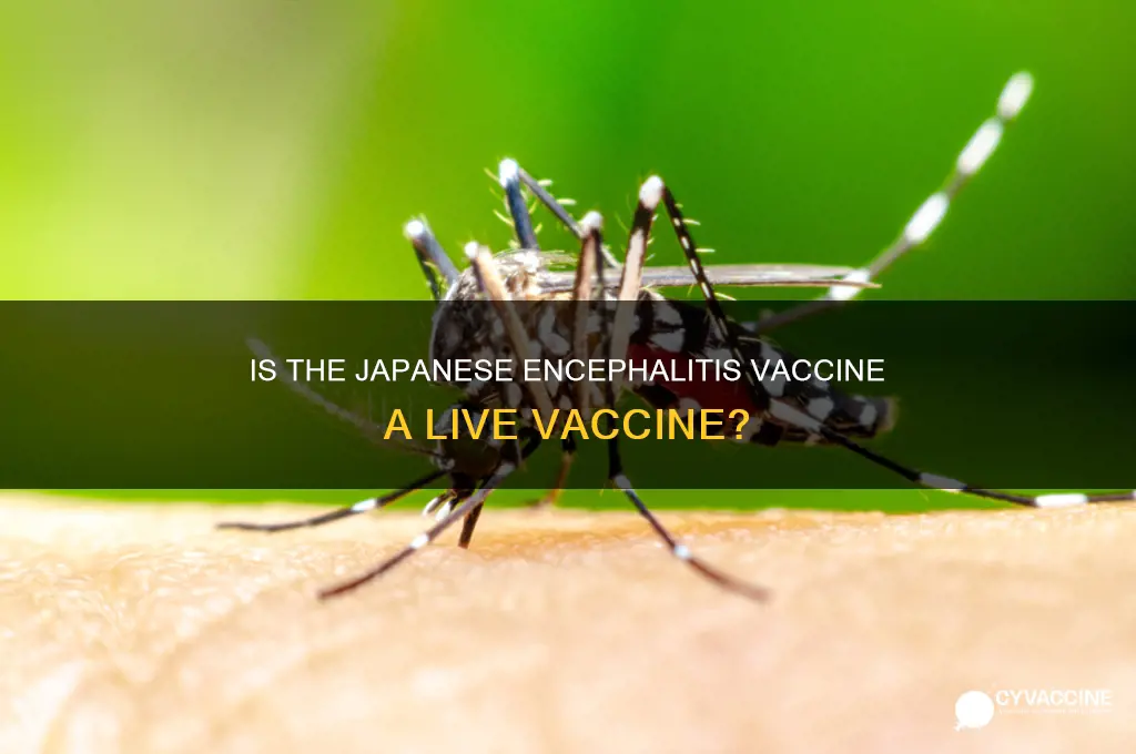 is the japanese encephalitis vaccine a live vaccine