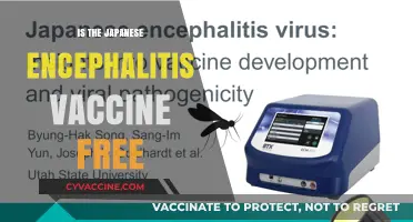 Exploring the Cost of Japanese Encephalitis Vaccination: Facts and Options