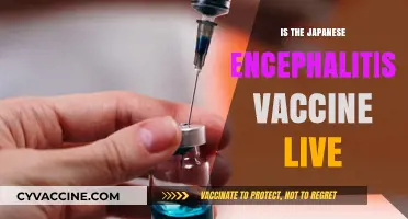 Is the Japanese Encephalitis Vaccine Live? Facts and Safety Explained