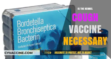 Protecting Your Pup: The Importance of Kennel Cough Vaccination