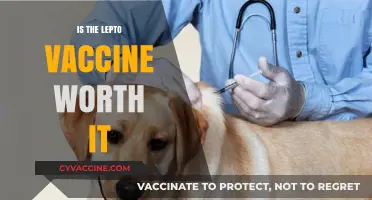 Evaluating the Lepto Vaccine: Benefits and Considerations for Your Pet