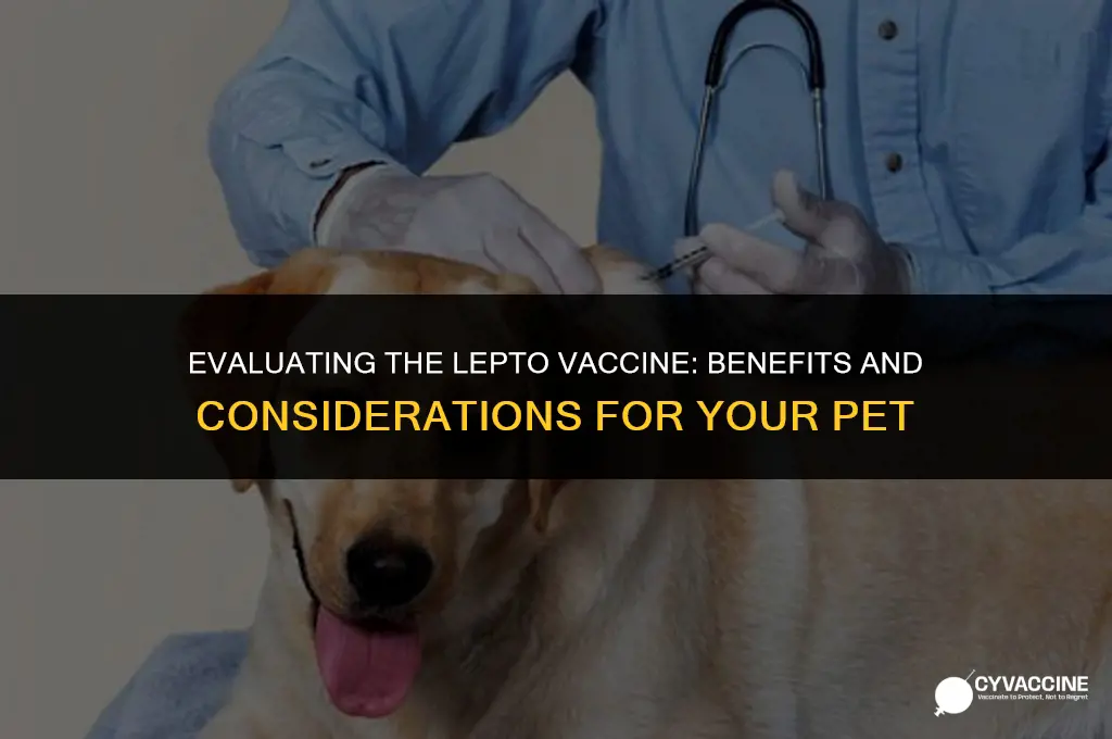 is the lepto vaccine worth it