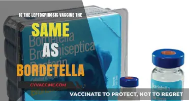 Leptospirosis vs. Bordetella Vaccine: Understanding the Key Differences