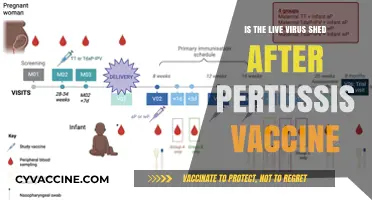 Pertussis Vaccine Shedding: Live Virus Transmission Risk Explained